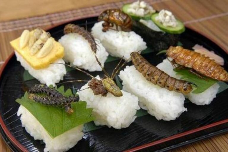 culinaria exotica do japao